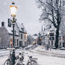 네덜란드의 겨울 풍경 이미지
