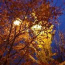 솜리문화회관 이미지