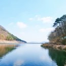 평지못(1) 이미지