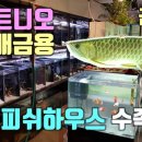 피쉬하우스수족관