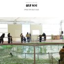 축제광장 | 겨울 강원도 여행 I 평창 송어축제 얼음광장 체험 후기