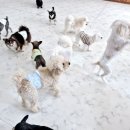 개스트룸 이미지