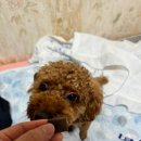 규용농장 이미지