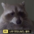계절산책