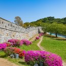 수원-0308 Daum카페