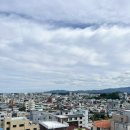 강릉시립미술관 | [여행/강릉] 강릉시립미술관 솔올 방문 후기 주차장 팁 전시 요금 할인