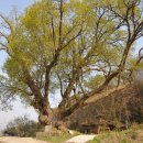 성주수지 이미지