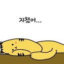#코인노래연습장 네이버블로그