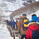 싱글여행동호회. 제주도여행 백령도여행 베트남여행 갑니다. 이미지