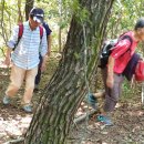 천태산(天台山) 트레킹(Trekking)과 만어사(萬魚寺)답사 후기﻿ 이미지