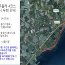 남원읍 신흥리 163-5 신흥교차로 횡단보도 2 | 올레길 완주를 꿈꾸며.. 제주 올레길 4코스(표선해수욕장~ 남원포구)