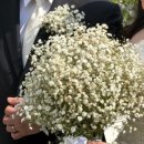 Wedding 07. 고터 꽃시장에서 6만원으로 촬영용 웨딩부케 3개 만든 후기 (feat. 쥬리원예)