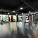 Y멀티짐 이미지