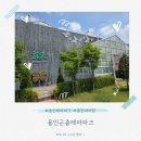 멍모이 | 32개월 아이랑 다녀온 용인곤충테마파크 후기
