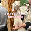 송정동-18 | 울산 아이랑 가볼만한곳 겨울 실내 키즈카페 송정동 헬로우쥬 동물원