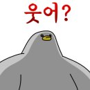 청년다방송파 이미지