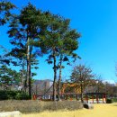 양덕동 삼각지 공원 이미지