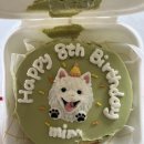 댕모아 | [포천] 쓰담쓰담 애견 펜션 밍 생일파티 N 번째 방문
