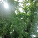 주유천하 이미지