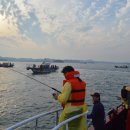 한솔낚시 이미지