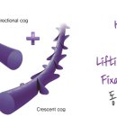 스타라인 이미지