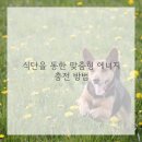 자연안에한의원 이미지