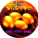 황금알부동산공인중개사사무소 이미지