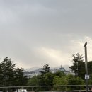 서원대로 | ROAD TO MSI 최종전 직관 후기 ^^