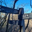 아버지와 불암산 수락산등산 가을단풍 끝구경 난생처음 수락산기차바위하산 24.11.10
