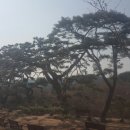 청풍호로 이미지