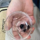 온빛 | 청주피부관리 3일 변화 솔직 후기! 율량동 라온빛 에스테틱 닝톡스 계속 찾게되는 이유