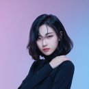 레이첼 티브이데일리