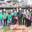 창원시 마산회원구 산호천 창원일보