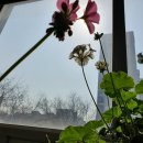 성베드로한방병원 이미지