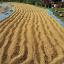 경오농장 이미지