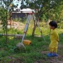 신농학당협동조합 이미지