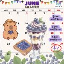 북앤쿡키즈쿠킹 네이버블로그
