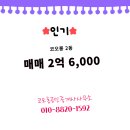 코오롱공인중개사사무소 네이버블로그
