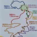 6월 정기산행 인제자작나무숲 트레킹 및 7,8,9월 산행예정 공지 이미지