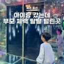 스마일충전소 | 제주가볼만한곳 다이나믹메이즈 :: 겨울에도 땀나는 미로 속 공간