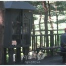 신덕10호 이미지