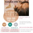 숲칼프교육전문센터원주점