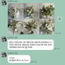 [W4-1] 웨딩촬영 스튜디오 촬영 같이 고민해요(드레스,헤메,소품)