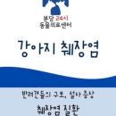 궁내동.궁안마을 이미지