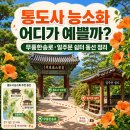 문화쉼터민박 | 통도사 능소화 어디가 예쁠까? 무풍한송로·일주문 쉼터 동선 정리