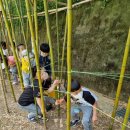 자연유치원 이미지