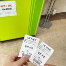 팔마체육관 | 순천 팔마 실내 수영장에서 자유수영, 원정 수영 후기