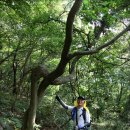 무등산자락 무돌길 13길 용추계곡길 | 무등산 둘레길 무돌길을 걷다/광주 동구 구간