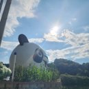 네버랜드테마펜션 이미지