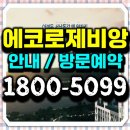 세븐일레븐 부산부전에코점 | 부산 강서구 명지 에코델타시티 로제비앙 모아엘가 분양 청약